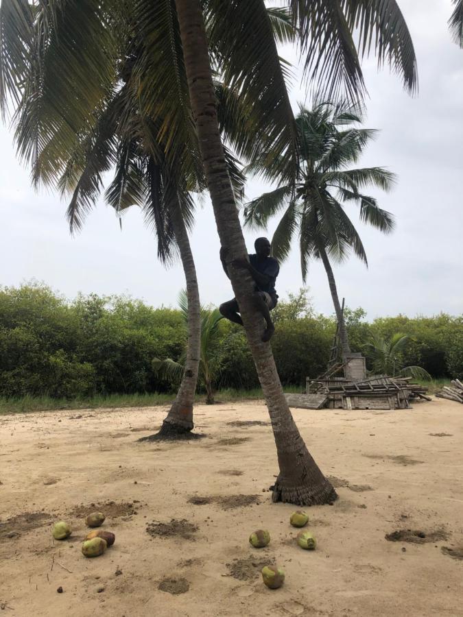Natura Luxury Lodge Ouidah Eksteriør bilde