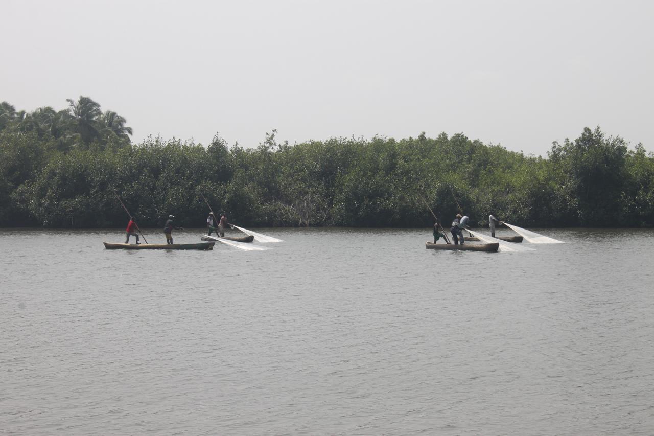 Natura Luxury Lodge Ouidah Eksteriør bilde